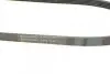 Фото Поліклиновий ремінь AUDI A6 ALLROAD C6, A6 C6, A8 D3 DACIA SANDERO HONDA CIVIC IX, JAZZ II, JAZZ III HYUNDAI TERRACAN KIA SORENTO I MITSUBISHI PAJERO SPORT I 1.3-4.2 06.00 Contitech (5PK1135) зображення 3