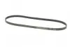 Фото Поліклиновий ремінь AUDI A6 ALLROAD C6, A6 C6, A8 D3 DACIA SANDERO HONDA CIVIC IX, JAZZ II, JAZZ III HYUNDAI TERRACAN KIA SORENTO I MITSUBISHI PAJERO SPORT I 1.3-4.2 06.00 Contitech (5PK1135) зображення 4