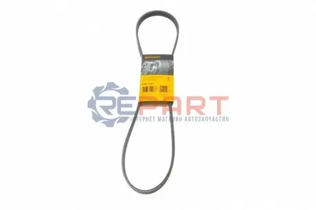Поліклиновий ремінь  FIAT 500, 500 C, 500L, BRAVO II, DOBLO, DOBLO CARGO, FIORINO, GRANDE PUNTO, IDEA, LINEA, PANDA, PUNTO, PUNTO EVO, QUBO, STILO, TIPO FORD ESCORT CLASSIC 1.1-2.0 10.89 Contitech 5PK1145 Купити в Україні