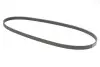 Фото Ремень генератора поликлиновый CONTINENTAL Contitech (5PK1145) изображение 5