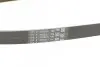 Фото Ремень генератора поликлиновый CONTINENTAL Contitech (5PK1212) изображение 3