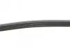 Фото Ремень генератора поликлиновый CONTINENTAL Contitech (5PK1230) изображение 2