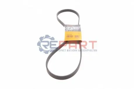 Поліклиновий ремінь  CITROEN C4 AIRCROSS HYUNDAI SONATA II, SONATA III MITSUBISHI ASX, LANCER VIII, SIGMA OPEL SIGNUM, VECTRA C, VECTRA C GTS PEUGEOT 4008 SAAB 9-3 1.6-3.0 01.91 Contitech 5PK1240 Купити в Україні