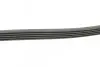 Фото Ремень генератора поликлиновый CONTINENTAL Contitech (5PK1290) изображение 2