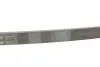 Фото Ремень генератора поликлиновый CONTINENTAL Contitech (5PK1290) изображение 3