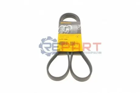 Ремень генератора поликлиновый CONTINENTAL Contitech 5PK1290 Купить в Украине