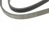 Фото Поліклиновий ремінь MITSUBISHI CARISMA, COLT V, GALANT VIII, PAJERO PININ I, SPACE STAR RENAULT 25 1.6-2.7 04.84-06.07 Contitech (5PK1330) зображення 4
