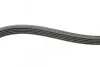 Фото Поліклиновий ремінь OPEL AGILA A, ASTRA G, ASTRA G CLASSIC, ASTRA H, ASTRA H CLASSIC, ASTRA H GTC, CORSA B, CORSA C, CORSA D, MERIVA A, MERIVA B SUZUKI WAGON R 1.0-1.4LPG 11.96 Contitech (5PK1355) зображення 2
