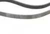 Фото Поліклиновий ремінь OPEL AGILA A, ASTRA G, ASTRA G CLASSIC, ASTRA H, ASTRA H CLASSIC, ASTRA H GTC, CORSA B, CORSA C, CORSA D, MERIVA A, MERIVA B SUZUKI WAGON R 1.0-1.4LPG 11.96 Contitech (5PK1355) зображення 3