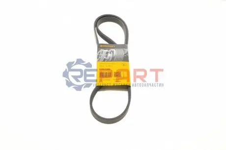 Ремень генератора поликлиновый CONTINENTAL Contitech 5PK1355 Купить в Украине