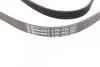 Фото Ремень генератора поликлиновый CONTINENTAL Contitech (5PK1393) изображение 3