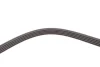 Фото Поліклиновий ремінь MITSUBISHI L200, L200 / TRITON, PAJERO SPORT III 2.2D/2.4D 11.14 Contitech (5PK1427) зображення 3