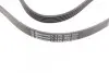 Фото Ремень генератора VW Passat 1.9TDI -00 - Ремень генератора VW Passat 1.9TDI -00 Contitech (5PK1592) изображение 2