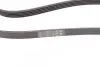 Фото Ремень генератора VW Passat 1.9TDI -00 - Ремень генератора VW Passat 1.9TDI -00 Contitech (5PK1592) изображение 3