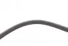 Фото Ремень генератора VW Passat 1.9TDI -00 - Ремень генератора VW Passat 1.9TDI -00 Contitech (5PK1592) изображение 4