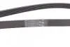 Ремень генератора поликлиновый CONTINENTAL Contitech (5PK1646) изображение 3