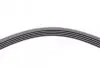 Ремень генератора поликлиновый CONTINENTAL Contitech (5PK1646) изображение 4