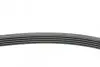 Поліклиновий ремінь OPEL ASTRA G, ASTRA H, ASTRA H GTC, ASTRA K, CORSA E, INSIGNIA B, INSIGNIA B COUNTRY, INSIGNIA B GRAND SPORT, MOKKA / MOKKA X, SPEEDSTER, ZAFIRA A 1.0-2.0 02.98 Contitech (5PK1680) зображення 2