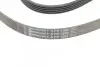 Поліклиновий ремінь OPEL ASTRA G, ASTRA H, ASTRA H GTC, ASTRA K, CORSA E, INSIGNIA B, INSIGNIA B COUNTRY, INSIGNIA B GRAND SPORT, MOKKA / MOKKA X, SPEEDSTER, ZAFIRA A 1.0-2.0 02.98 Contitech (5PK1680) зображення 4