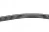 Ремень генератора поликлиновый CONTINENTAL Contitech (5PK1715) изображение 2