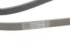 Ремень генератора поликлиновый CONTINENTAL Contitech (5PK1715) изображение 3