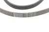 Ремень генератора поликлиновый CONTINENTAL Contitech (5PK1715) изображение 4