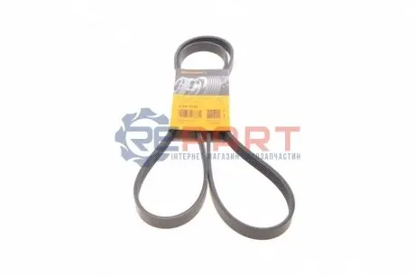 Ремінь генератора Renault Kangoo 1.4/1.6i, 97- Contitech 5PK1750 Купити в Україні