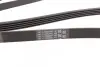 Фото Ремень генератора поликлиновый CONTINENTAL Contitech (5PK1788) изображение 3