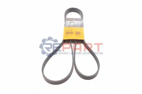 Поліклиновий ремінь  CHEVROLET BERETTA, CAVALIER, LUMINA HYUNDAI I10 I KIA PICANTO I MITSUBISHI COLT, COLT VI ROVER 800 SMART FORFOUR 1.1D-2.5D 10.89-06.12 Contitech 5PK1788 Купити в Україні