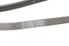 Фото Ремень генератора поликлиновый CONTINENTAL Contitech (5PK1800) изображение 3