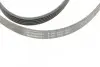 Фото Ремень генератора поликлиновый CONTINENTAL Contitech (5PK1800) изображение 4