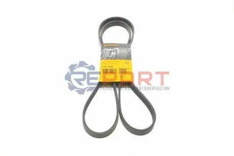 Поліклиновий ремінь  HYUNDAI ACCENT III, ELANTRA IV, GETZ, I30 KIA CERATO I, RIO II 1.5D/1.6D 03.05-12.11 Contitech 5PK1800 Купити в Україні