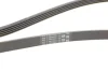 Поліклиновий ремінь BMW 3 (E36), 5 (E34), 5 (E39) CHRYSLER LE BARON, SARATOGA, VOYAGER I, VOYAGER II DODGE DAYTONA HYUNDAI ACCENT III, ACCENT IV, ELANTRA IV, ELANTRA V 1.1D-3.0 10.87 Contitech (5PK1815) зображення 3