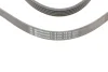 Поліклиновий ремінь BMW 3 (E36), 5 (E34), 5 (E39) CHRYSLER LE BARON, SARATOGA, VOYAGER I, VOYAGER II DODGE DAYTONA HYUNDAI ACCENT III, ACCENT IV, ELANTRA IV, ELANTRA V 1.1D-3.0 10.87 Contitech (5PK1815) зображення 4