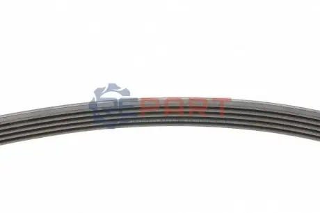 Ремінь генератора BMW 5 (E39)/Opel Omega B 2.5D/2.5TD 94-03 Contitech 5PK1815 Купити в Україні