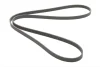 Поліклиновий ремінь BMW 3 (E36), 5 (E34), 5 (E39) CHRYSLER LE BARON, SARATOGA, VOYAGER I, VOYAGER II DODGE DAYTONA HYUNDAI ACCENT III, ACCENT IV, ELANTRA IV, ELANTRA V 1.1D-3.0 10.87 Contitech (5PK1815) зображення 5