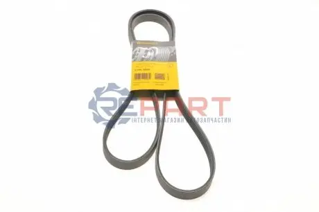 Фото Дорожный пас Contitech (5PK1850) изображение 1