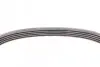 Фото Поліклиновий ремінь AUDI A1 SEAT ALHAMBRA, IBIZA IV, IBIZA IV SC, IBIZA IV ST SKODA FABIA II VW BEETLE, CC B7, EOS, GOLF PLUS V, GOLF V, GOLF VI, JETTA III, JETTA IV 1.4-1.4H 11.05-07.18 Contitech (5PK491) зображення 4