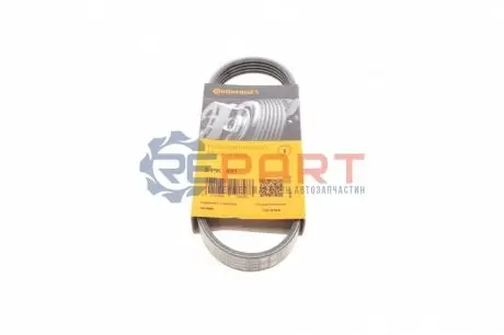 Ремінь генератора VW Golf V/Passat/Touran 1.4TSI 05- Contitech 5PK491 Купити в Україні