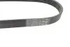 Фото Ремень генератора поликлиновый CONTINENTAL Contitech (5PK628ELAST) изображение 3
