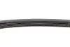Фото Ремень генератора поликлиновый CONTINENTAL Contitech (5PK628ELAST) изображение 4