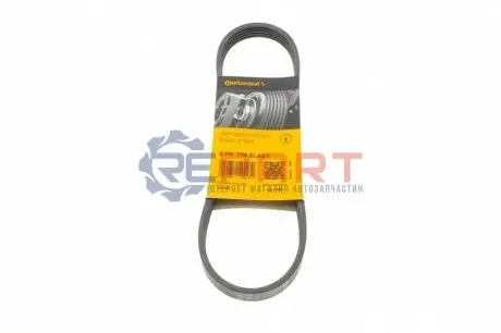 Ремень генератора поликлиновый CONTINENTAL Contitech 5PK705ELAST Купить в Украине