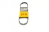 Фото Ремень генератора поликлиновый CONTINENTAL Contitech (5PK716ELAST) изображение 1