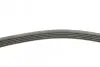 Фото Ремень генератора поликлиновый CONTINENTAL Contitech (5PK716ELAST) изображение 2