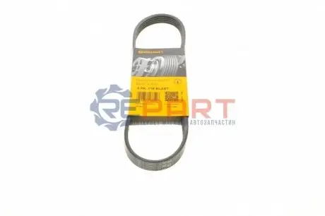 Ремень генератора поликлиновый CONTINENTAL Contitech 5PK716ELAST Купить в Украине