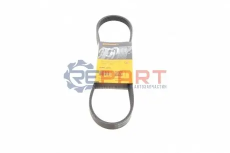 Поліклиновий ремінь ALFA ROMEO 155, 164 BMW 3 (E46), 5 (E39), 7 (E38), X5 (E53) CITROEN ZX LAND ROVER RANGE ROVER III 1.1-3.0D 03.91-08.12 Contitech 5PK813 Купити в Україні