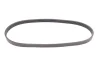 Фото Поліклиновий ремінь BMW 3 (E46), 5 (E39) FIAT REGATA, SEDICI JAGUAR XJ, XJSC SUZUKI GRAND VITARA II, SWIFT III, SWIFT IV, SX4, SX4 S-CROSS 1.3-6.0 05.85 Contitech (5PK836) зображення 5