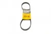 Фото Ремень генератора поликлиновый CONTINENTAL Contitech (5PK847) изображение 1