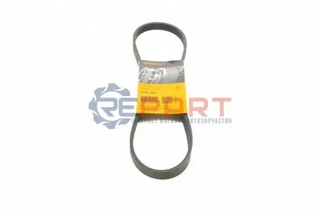 Ремінь генератора Daewoo Lanos 1.3-1.6 97-/Ford Mondeo I/II 1.8TD 93-00 Contitech 5PK875 Купити в Україні