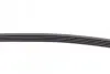 Фото Ремень генератора поликлиновый CONTINENTAL Contitech (5PK880) изображение 3